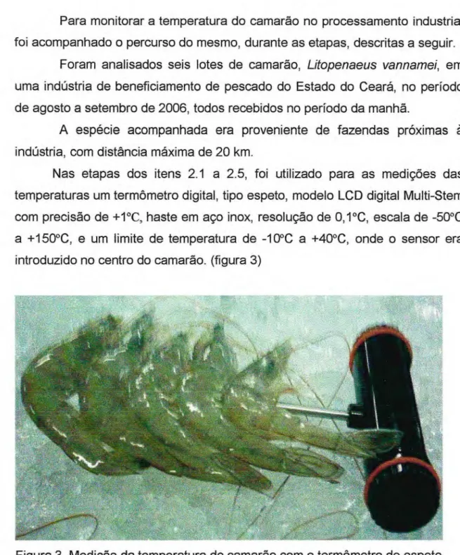 Figura 3. Medição da temperatura do camarão com o termômetro de espeto. 