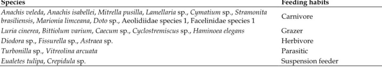 Table II - Gastropod species recorded from October 2009 to November 2012 at Terminal Portuário do Pecém (NE Brazil)  and their respective feeding habits.