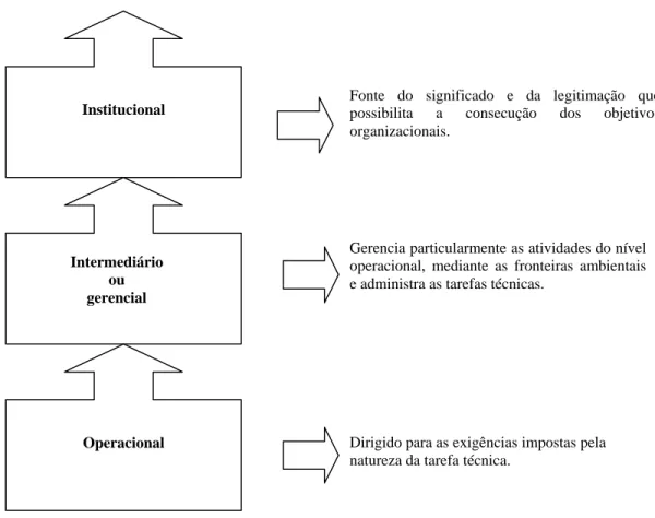 Figura 3 – Níveis administrativo-hierárquicos. 