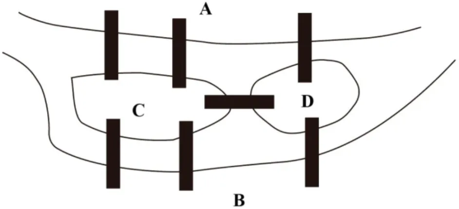 Figura 1: Esboço do problema de Königsberg 