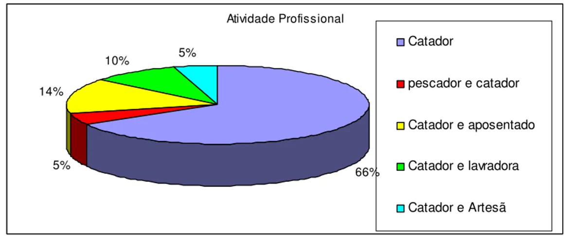 Gráfico 05 – Atividade profissional dos catadores entrevistados no Lixão de Codó Novo, Codó- Codó-MA  
