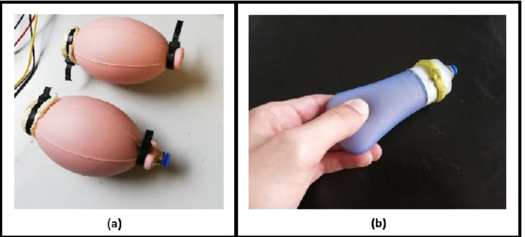 Figure 17 - Surface B iterations based on: silicone air pump (a) and silicone bottle  (b)