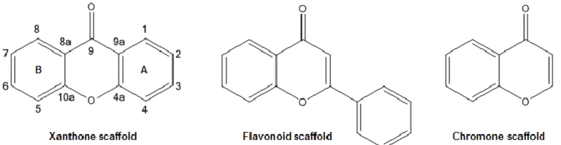 Figure 8 - Scaffolds of different classes of secondary metabolites with a dibenzo-ɣ-pyrone