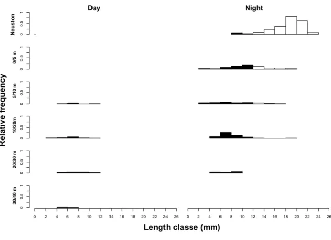 Fig.  4.  Larval  length  composition  by  depth  strata  and  day/night  periods.  Dawn  and  dusk  times  were  approximately  at  05:00  and  17:30  hours.  Black  and  white  columns  represent  pre‐  and  postflexion  larvae,  respectively. 