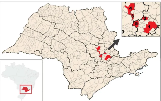 Figura  2:  Municípios  onde  estão  localizadas  as  cinco  áreas  de  estudo,  destacadas  em  vermelho  e  enumeradas, no canto superior direito, na sequência: 1- Campinas; 2- Cosmópolis; 3- Iracemápolis; 4- Rio  Claro e 5- Santa Bárbara D’Oeste, locali