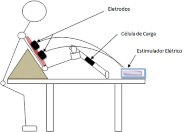 Figura 4. Esquema do protocolo de posicionamento do estudo. Com esse protocolo é possível  avaliar a força gerada pela EENM