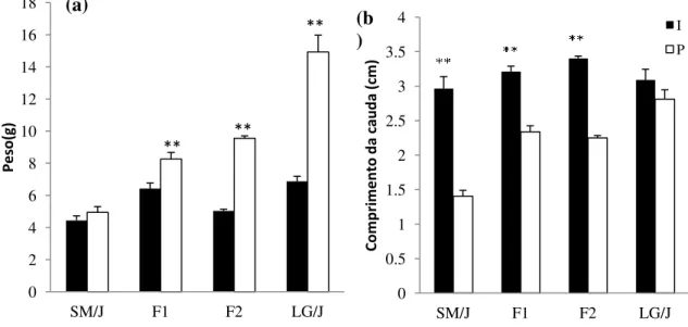 Figura 4. Diferenças entre as médias de ganho em peso (a) e comprimento de cauda (b) nas  fases I (1°- 3°semanas) e P (3°- 6° semanas) para fêmeas das linhagens parentais SM/J e LG/J  e gerações F1 e F2