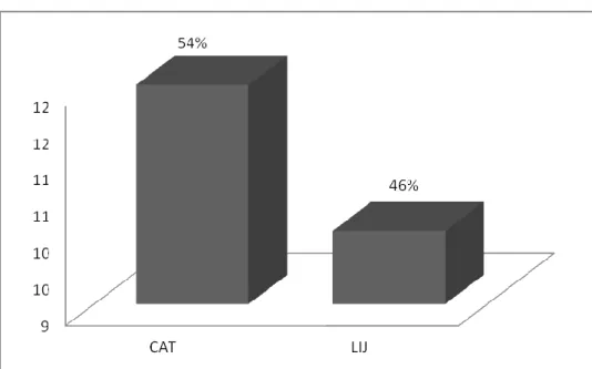 Gráfico II – Estatuto Social de IPSS. 