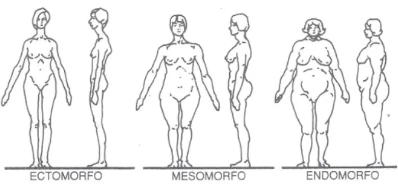 Figura 1- Caraterização dos três tipos de corpos, decorrentes dos estudos  efetuados por William Sheldon em 1940 (Falzon, 2007, p