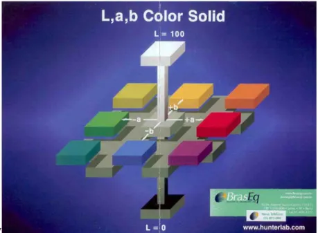 Figura 11. Representação esquemática do sistema CIELab, uma ferramenta  para medir a cor e as diferenças  de cor