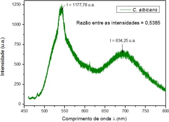Figura 18 – Espectro de fotoluminescência do fungo C. albicans, para dados não normalizados