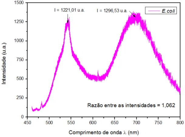 Figura 23 – Espectro de fotoluminescência da amostra contendo apenas a bactéria E. coli, para dados  não normalizados