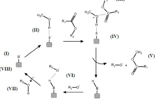 Figura 15 – Mecanismo de reação de transesterificação para catálise básica heterogênea