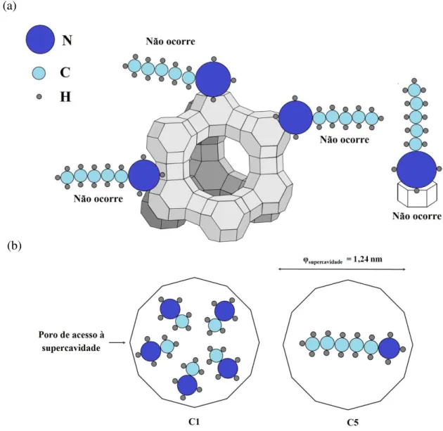 Figura  30  –  Tipos  de  impedimentos  estéricos  existentes  nas  cavidades  zeolíticas:  (a) tipo  1,  conhecido  como  efeito  peneira  (fonte:  própria)  e;  (b)  tipo  2,  existente  no  interior  das  supercavidades (fonte: ALMEIDA, 2009, modificado