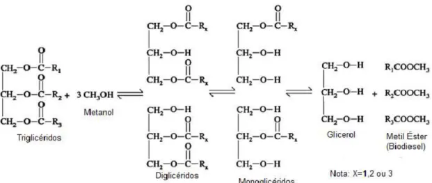 Fig. 1.8- Transesterificação de um triglicérido para produção de biodiesel (Adaptado de Salamatinia et  al., 2012)
