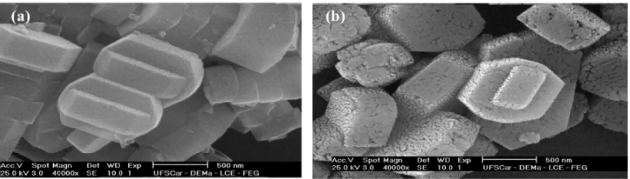 Figura 2.18 Imagens de microscopia eletrônica: (a) ZSM-5 sem nanopartículas; (b) ZSM-5 com 13% de  nanopartículas