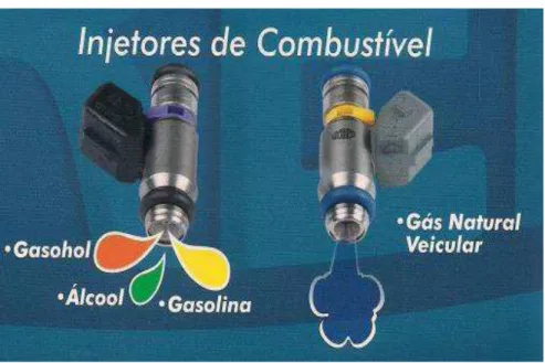 Figura 2.9 – Tipos de eletroinjetores 