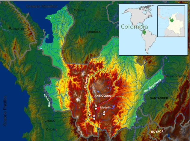 Figura  4.  Área  de  estudo  no  Estado  de  Antioquia,  Colômbia.  a)  município  de  Carmen  de  Viboral,  b)  município  de  Medellín  -  Distrito  de  San  Cristobal,  c)  município  de  Titiribí  e  d)  município de Fredonia