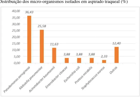 Gráfico 4 Distribuição dos micro-organismos isolados em aspirado traqueal (%) 