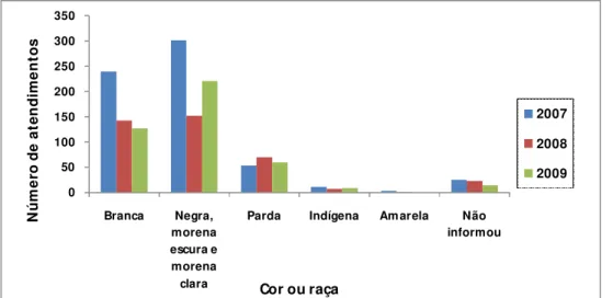 Gráfico 5 – Número de atendimentos por cor ou raça no período 2007-2009 