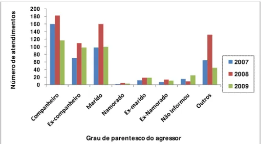 Gráfico  12  –  Grau  de  parentesco  do  agressor  percebido  a  aprtir  do  número  de  atendimentos, no período 2007-2009 