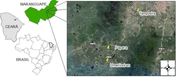 Figura 1. Áreas de coletas de solos no município de Maranguape-Ce. 