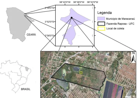 Figura 1. Mapa da área de coleta do solo na fazenda Raposa em Maracanaú-Ce. 