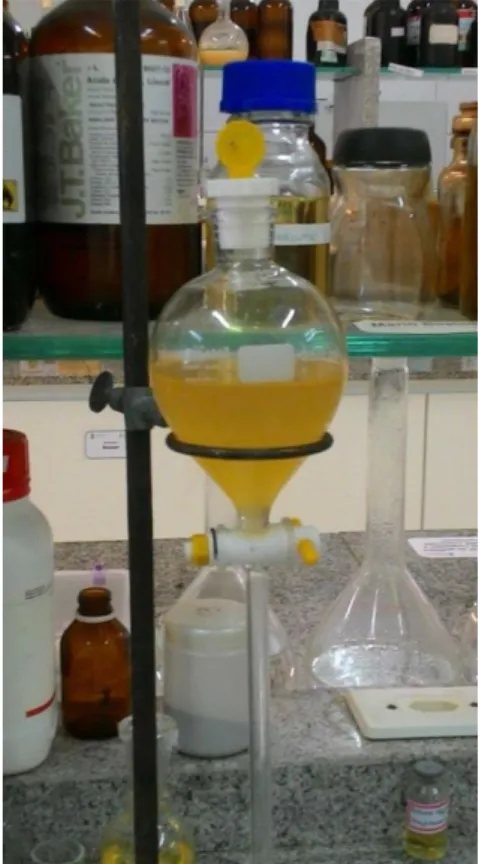 Figura 11 – Aspecto visual do óleo após etapa de lavagem 