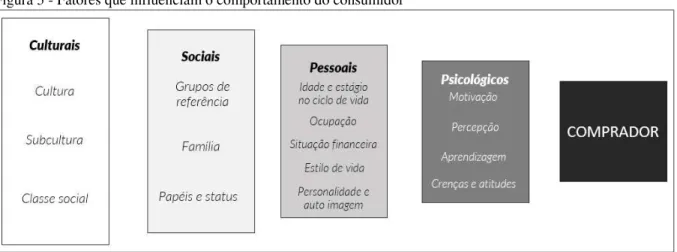 Figura 5 - Fatores que influenciam o comportamento do consumidor 
