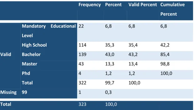 Figure 7 - Net Income Descriptive Statistics, source: survey data 