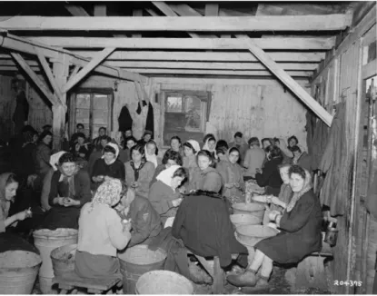 Fig. 4. Female survivors peel potatoes in a barracks in the Bergen-Belsen concentration  camp, April 28 1945