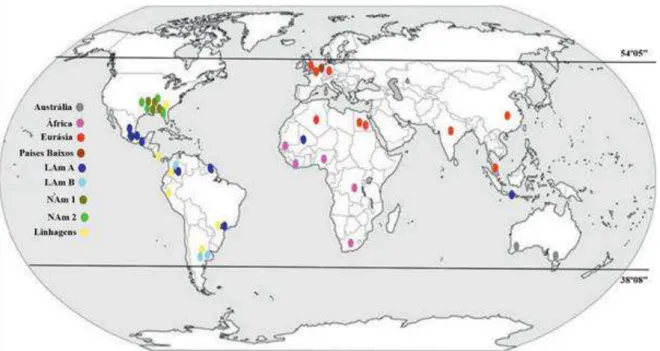 Figura 1. Distribuição geográfica dos clados e linhagens de H. capsulatum. 