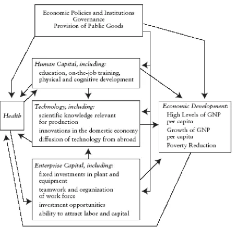 Figure 1 demonstrates how economic development depends on economic policies and  institutions; and on aspects directly and indirectly affected by health, respectively human and  enterprise capital, and technology