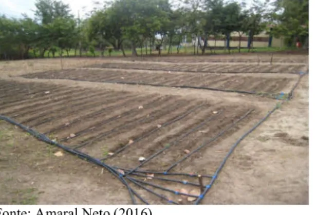 Figura 3 - Sistema de irrigação instalado na área experimental, Fortaleza, Ceará, 2016.
