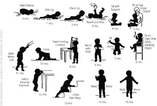 Figura 09. Sequência de desenvolvimento motor na criança até aos 15 meses, Shirley (1931).