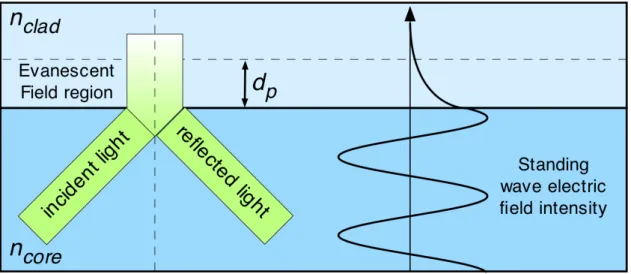 Figure 2.1: Evanescent field in the core/cladding interface of an optical fiber.
