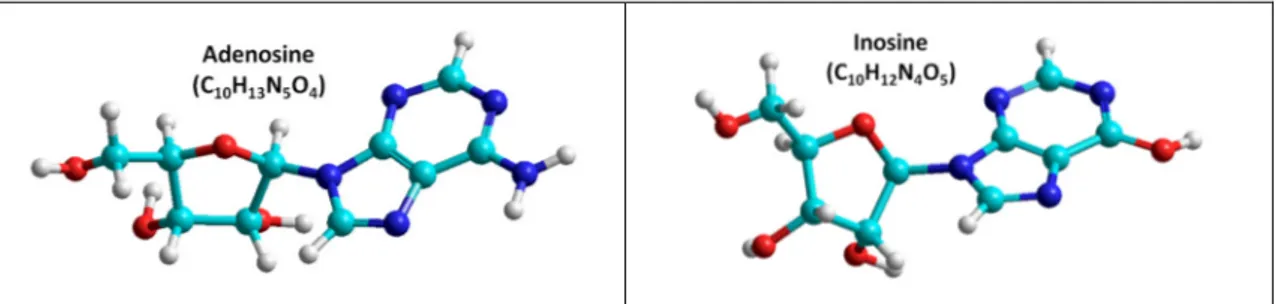 Figure 29 - Representation of the molecular structure of adenosine and inosine. 