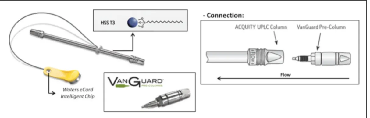 Figure 36 - ACQUITY UPLC HSS T3 (2.1 x 100 mm, 1.8 µm particle size) column linked to ACQUITY UPLC HSS T3 VanGuard TM  (2.1 x 5 mm, 1.8 µm) pre-column and representative scheme of their connection