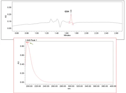 Figure 40 - Spectra of analyzed glutathione ( 200 ± 4.7 nm)  by the UHPLC-PDA method. For additional  chromatographic conditions, see table on annex 1