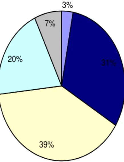 Gráfico 6 –  Percentual por grau de escolaridade dos membros do conselho de administração e da diretoria  executiva