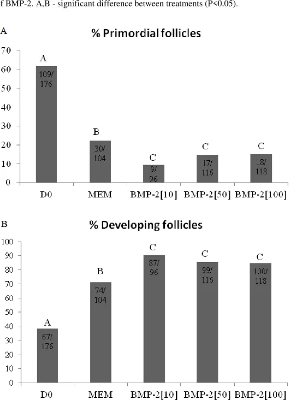 Figure  2.  Percentage  of  primordial  (A)  and  developing  follicles  (B)  in  non-cultured  tissues  (control) and in tissues cultured for 6 days in α-MEM +  alone or with different concentrations  of BMP-2