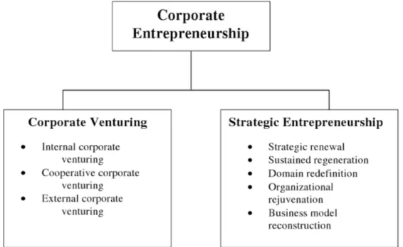 Figure 1: Overview of Corporate Entrepreneurship (Source: Morris, Kuratko, &amp; Covin, 2008, p.81) 