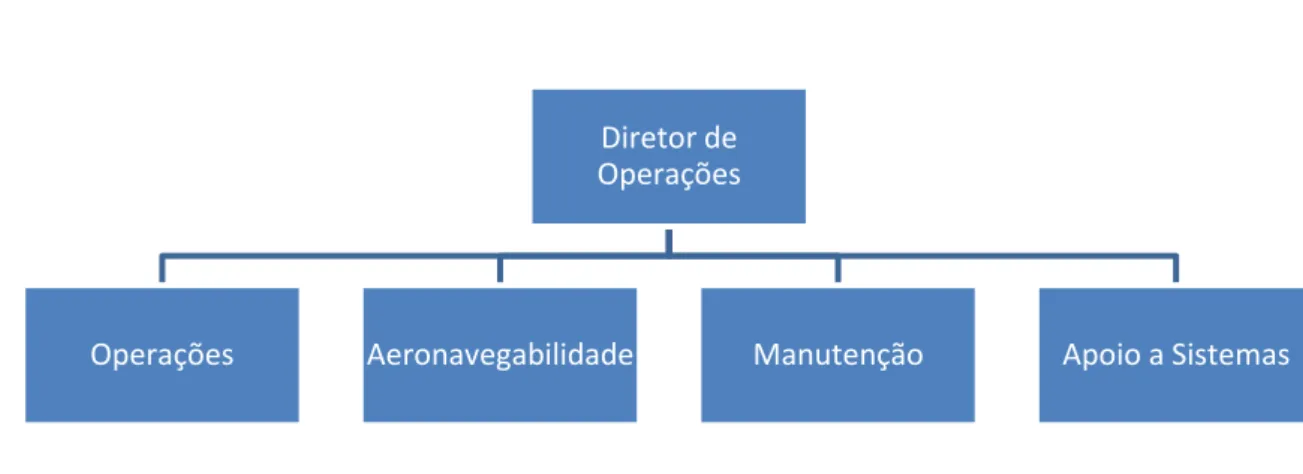 Figura 1 – Estrutura do NOP do CIDIFA. 