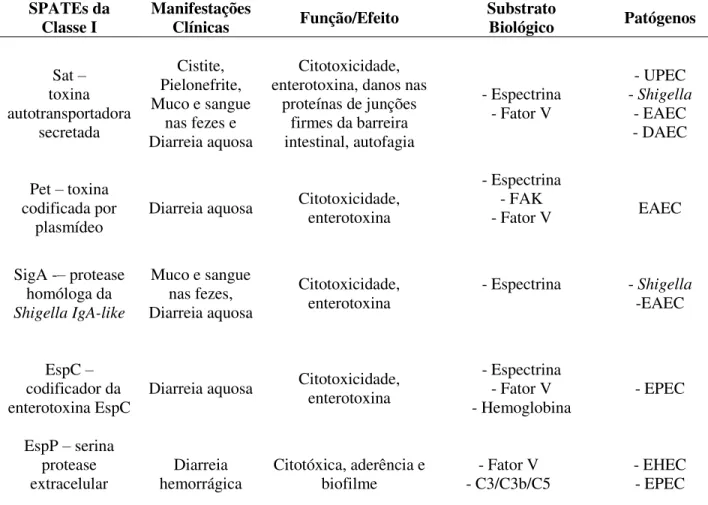 Tabela  1  –   Caracterização  das  principais  serina  proteases  autotransportadoras  (SPATEs)  da Classe I  