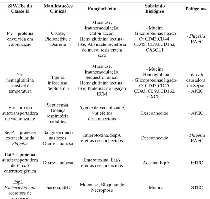 Tabela  2  –   Caracterização  das  principais  serina  proteases  autotransportadoras  (SPATEs)  da Classe II  
