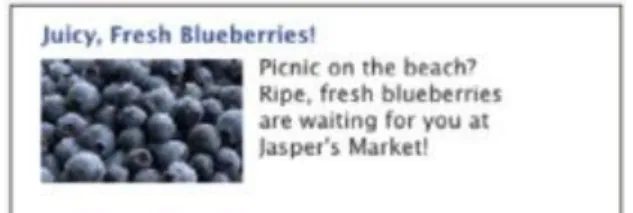 Figure 1-1 Example of an external website ad (Sales Force, 2013)