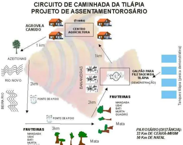 Figura 02 – Roteiro da tilápia no Assentamento Rosário  Fonte: Rede TRAF/RN. 