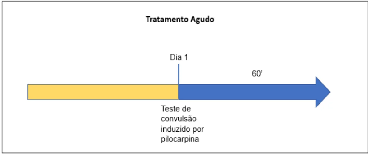Figura 3: Protocolo Experimental para o tratamento agudo com METMO nas doses de 25, 50 e 100 mg/Kg v.o