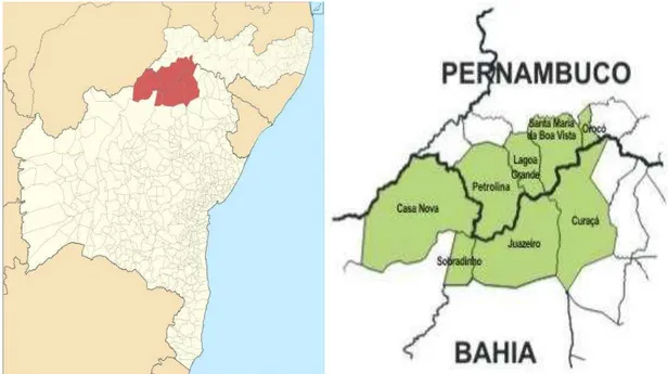 Figura 2 - Localização geográfica do polo Juazeiro/BA-Petrolina/PE 