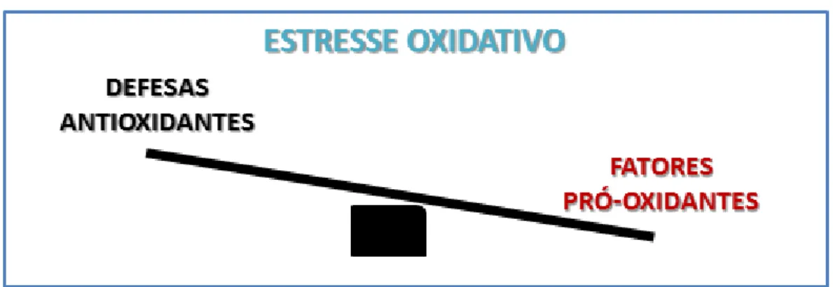 Figura 3 - Estresse Oxidativo 